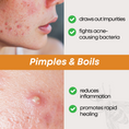 Load image into Gallery viewer, Mighty Propolis Salve 60G,  2 OZ, Natural Healing and Soothing Balm