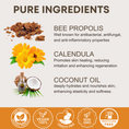 Load image into Gallery viewer, Mighty Propolis Salve 60G,  2 OZ, Natural Healing and Soothing Balm
