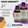 Load and play video in Gallery viewer, Immunity & Daily Defense | Mighty Propolis Essentials & Combat Drops
